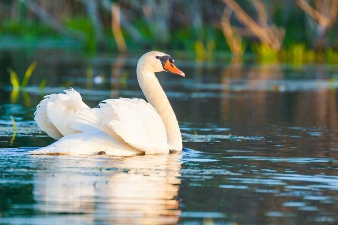 Danube Delta and Black See - 2 Days Private Tour from Bucharest - Who should book this private Romania trip?