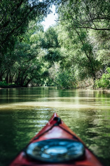 Danube Delta: Boat Tour Through the Water Lily Reserve - Is $22 good value for two hours?