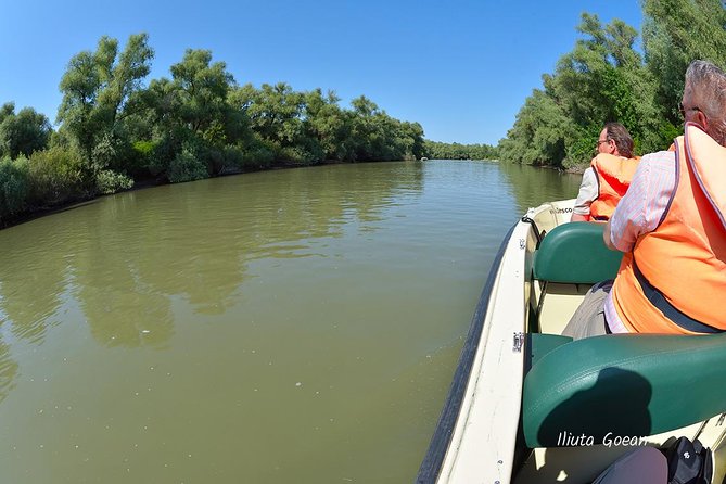 Danube Delta PRIVATE boat trip to Mila23 Village (guided tour) - Canal 36 and Garla Sireasa: the first wildlife views