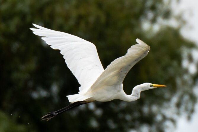 Danube Delta - Private Tour with Boat Trip & Traditional Lunch - Who should book this Danube Delta trip?
