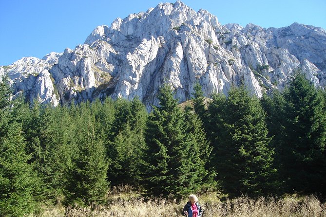 Day Hike in Carpathian Mountains for all levels in five areas - Forest Roots, Meadows, and Rocky Ground