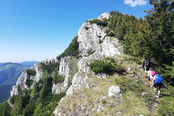 Day Hike PRIVATE - Piatra Craiului National Park - Walking through Zărnești Canyon