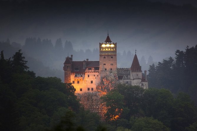 Day Tour to Brasov and Bran - Who should book this day trip?