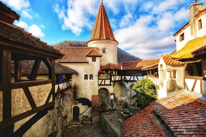 Day Tour to Brasov and Bran - The road from Bran to Brașov