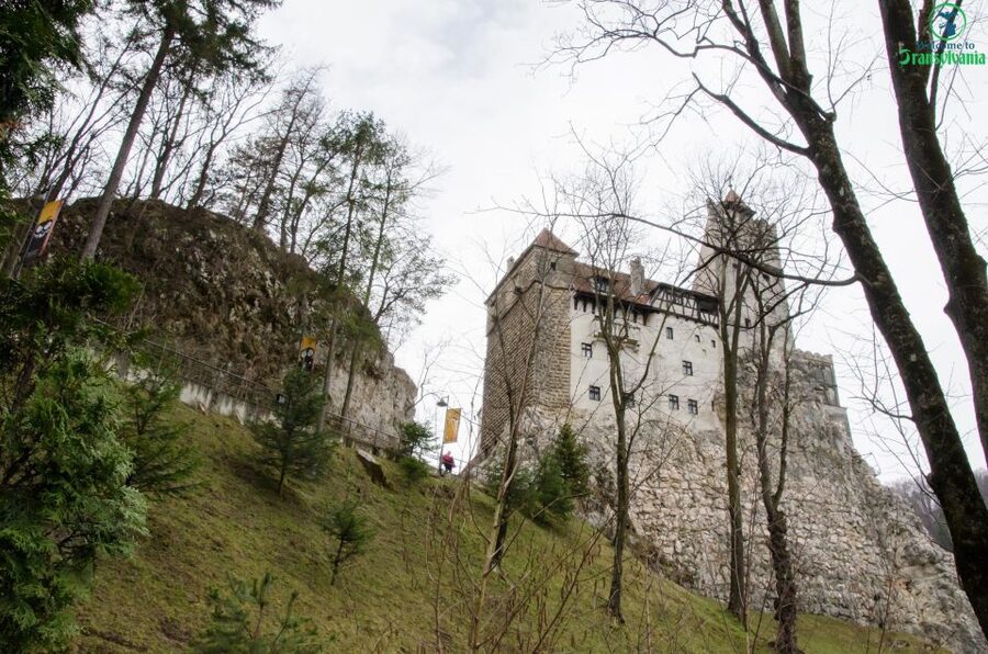 Day trip Bran Castle, Rasnov Fortress and Bear Sanctuary - Key points at a glance