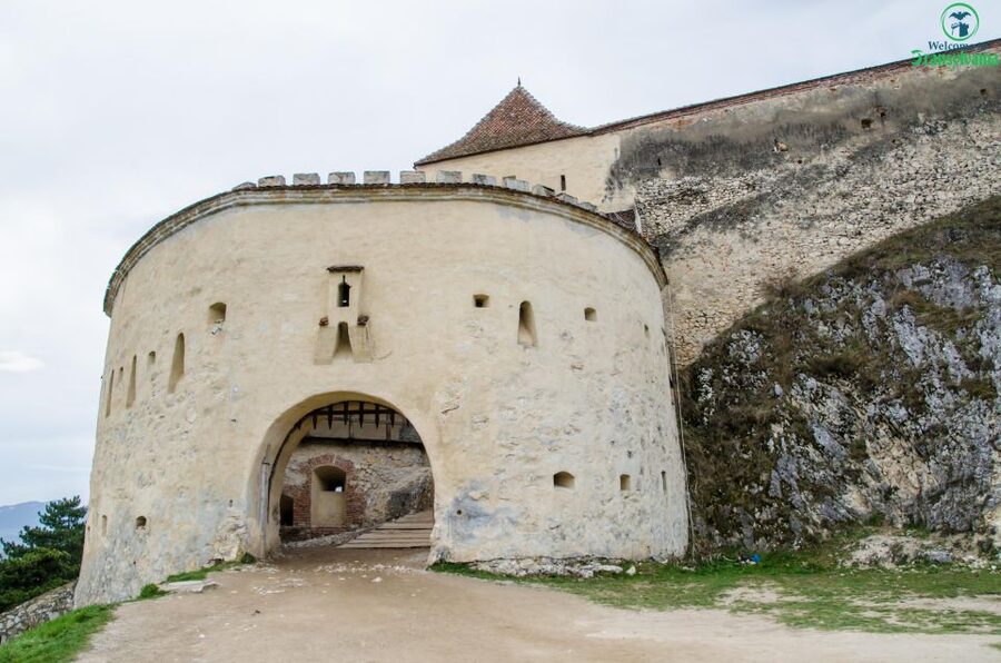 Day trip Bran Castle, Rasnov Fortress and Bear Sanctuary - Should you book the Bran, Râșnov, and bear sanctuary tour?