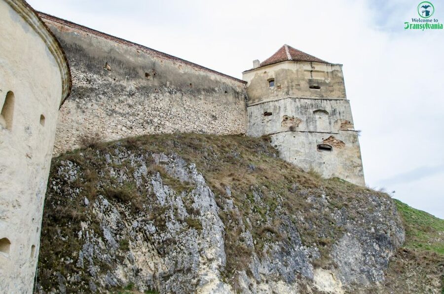 Day trip Bran Castle, Rasnov Fortress and Bear Sanctuary - Who should book this experience?