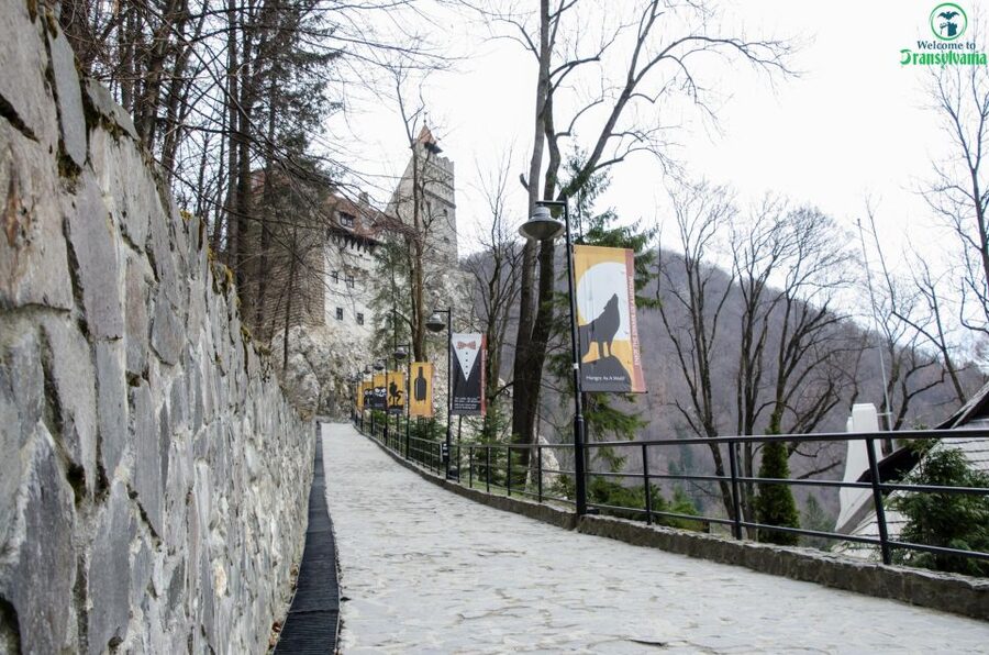 Day trip Bran Castle, Rasnov Fortress and Bear Sanctuary - Meeting the rescued bears at LiBEARty