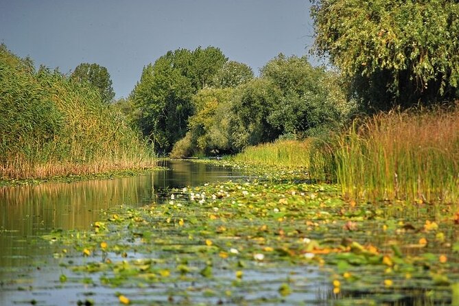 Day Trip from Bucharest to Danube Delta - The four to five-hour boat trip