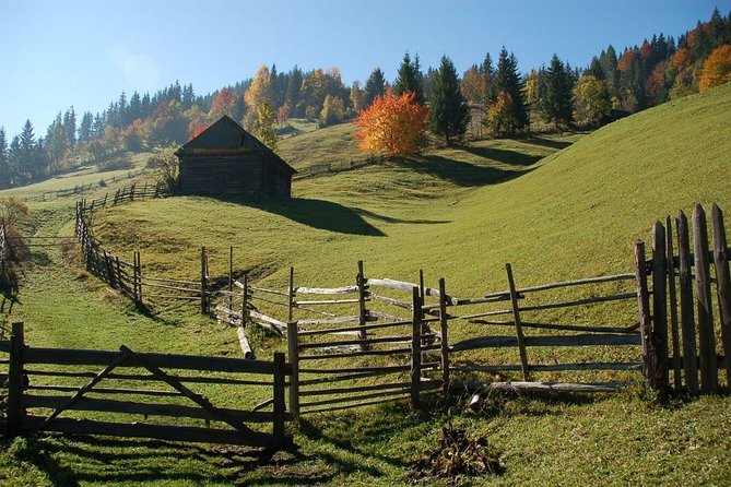 Day trip on Quad ATV - Transylvanian outdoor adventure - Why the price may or may not work for you