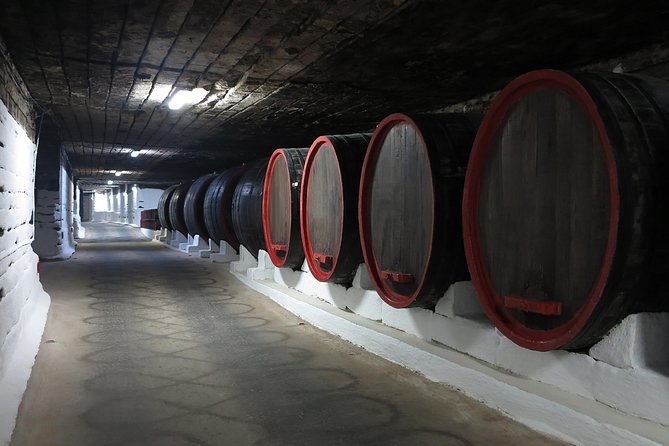 Day trip to Republic of Moldova - visit Chisinau and Cricova Winery - Who will get the most from this Moldova trip
