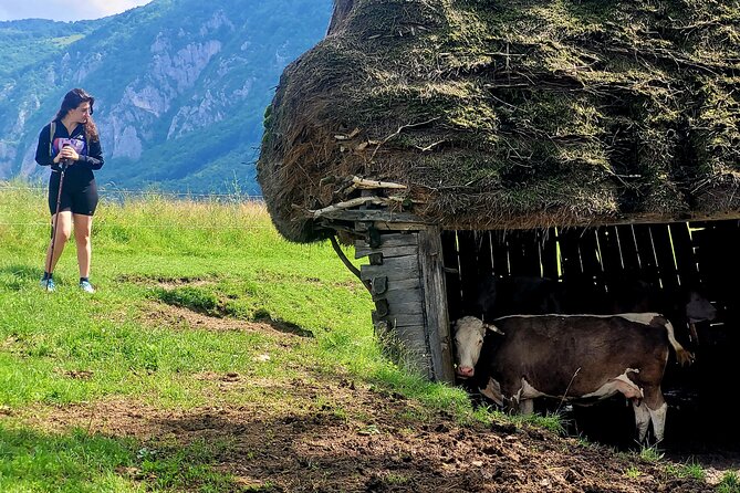 Discover Apuseni Mountains - Scarita Summit,Sipote Waterfall and Dumesti Village - Food, price, and what you are really paying for