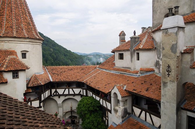 Dracula and Peles Castles Premium Tour with Hotel pick-up - Peles Castle, Romania’s royal showpiece