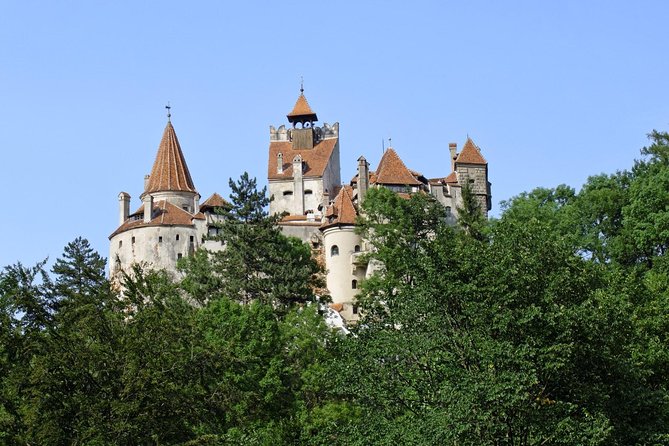Dracula Castle, Peles Castle and Rasnov Fortress from Brasov - Who should book this Brasov day trip