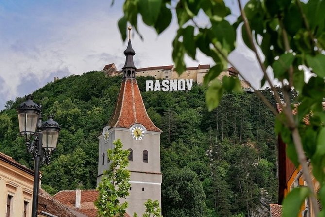 DRACULA CITY BREAK Bran Castle, Peles Castle Sinaia, Brasov City - Day 3: airport transfer and the optional bear sanctuary