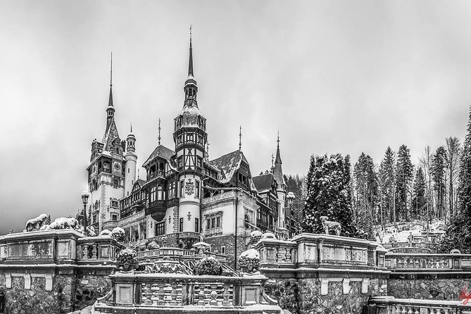Dracula's Castle, Peles Castle and Brasov - Private Day Trip from Bucharest - The guide can make or break a 13-hour day