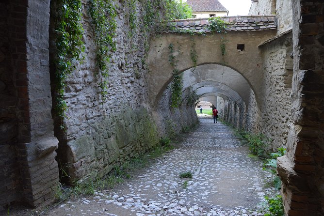 Exclusive tour: Sighisoara, Medias and Biertan tour from Sibiu - Who will get the most from this outing