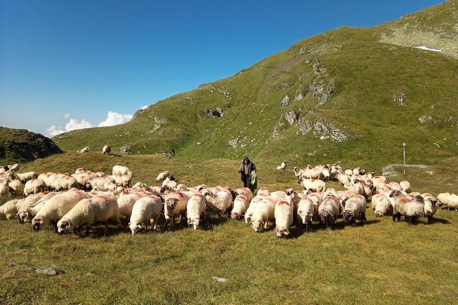 Expedition in Fagaras Mountains from Brasov (Private Tour!) - Day one: Sambata Valley to Fereastra Mica