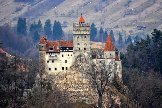 Explore Transylvania: Dracula, Peles Castle & Brasov Private Tour - Why this private Transylvania day works
