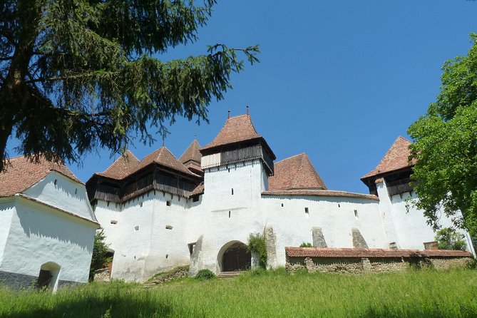 Fortified Church of Viscri and Sighisoara in Spanish (native Spanish guide). - The road to Viscri and its rural setting