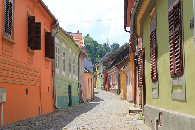 Fortified Church of Viscri and Sighisoara in Spanish (native Spanish guide). - Sighisoara’s medieval citadel in three hours