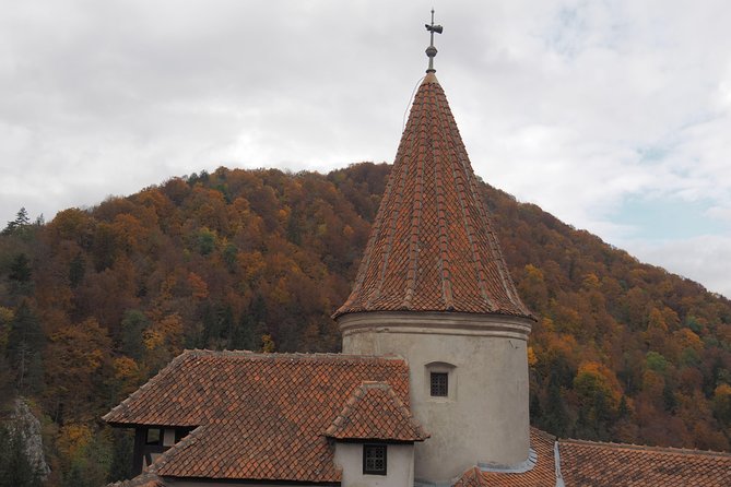 From Brasov: Discover Bran Castle and Râșnov Fortress - Râșnov Fortress, with an important closure to understand