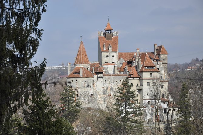 From Brasov: Discover Bran Castle and Râșnov Fortress - Food, shopping, and a useful break at Bran