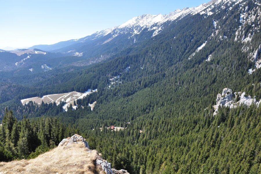From Brasov: Piatra Craiului National Park Private Day Tour - Lunch at a hut or village