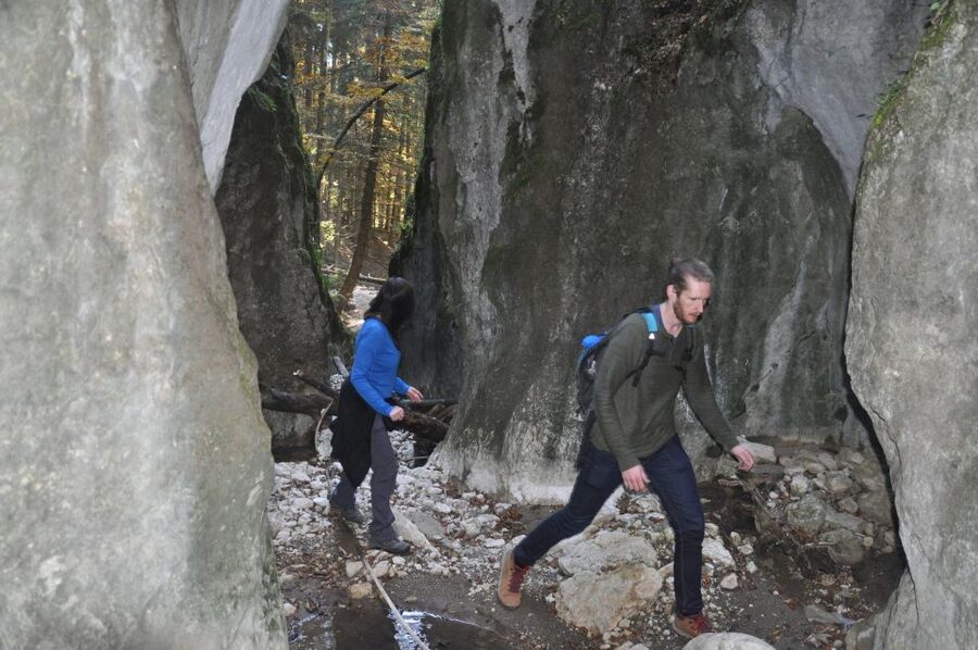 From Brasov: Piatra Craiului National Park Private Day Tour - How much value do you get for $111?