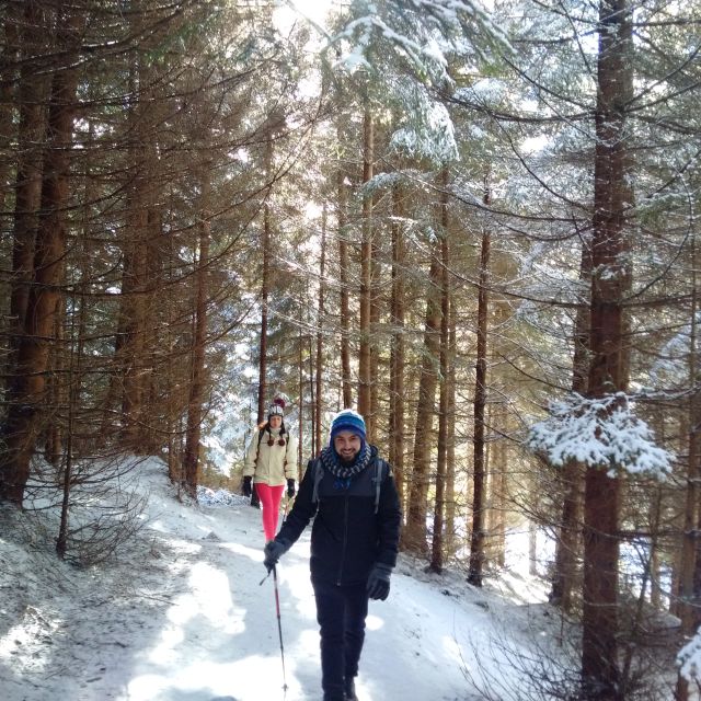 From Brasov: Piatra Craiului National Park Private Day Tour - Choosing the right route for your group