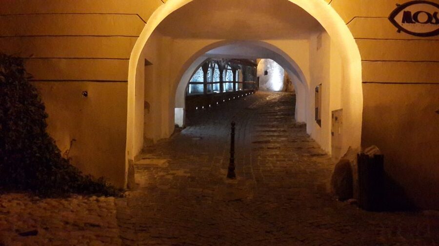 From Brasov: Sighisoara and Viscri UNESCO Day Tour - FAQ