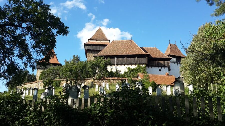 From Brasov: Sighisoara and Viscri UNESCO Day Tour - Lunch, shopping, and free time in Sighisoara