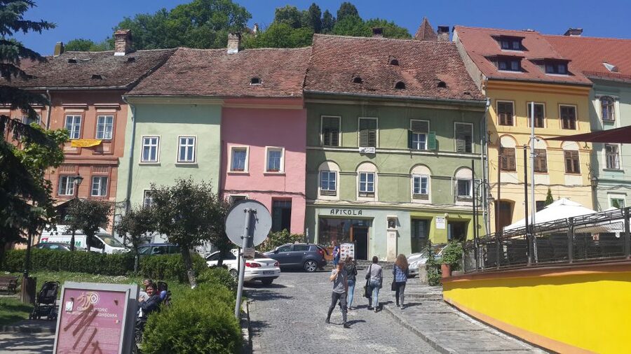 From Brasov: Sighisoara and Viscri UNESCO Day Tour - Who should book this day tour?
