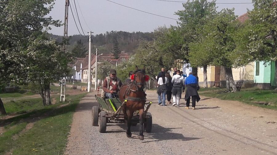 From Brasov: Sighisoara, Viscri, and Rupea Unesco Day Trip - What the small-group van adds