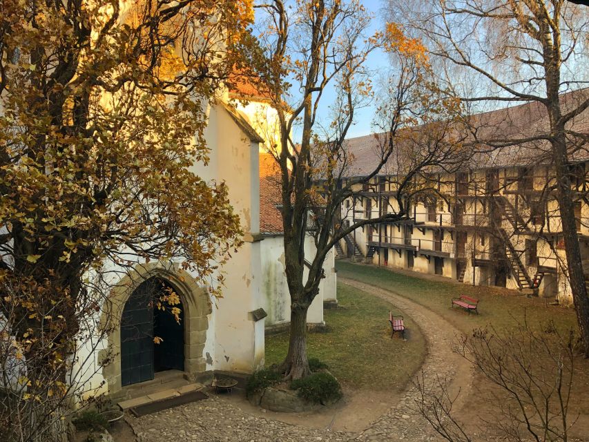 From Brasov: Small-Group Half-Day Fortified Churches Tour - Key points to know before you book
