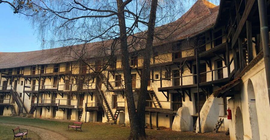 From Brasov: Small-Group Half-Day Fortified Churches Tour - Who will enjoy this half-day tour