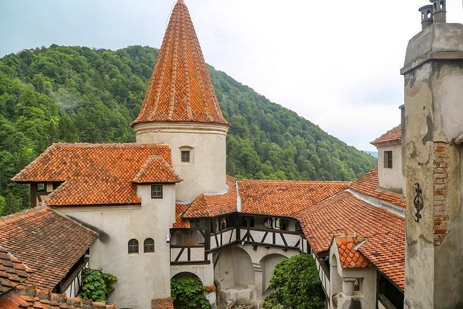 From Brasov: Small-group tour Bran, Rasnov, and Peles Castles - What your guide adds to the day