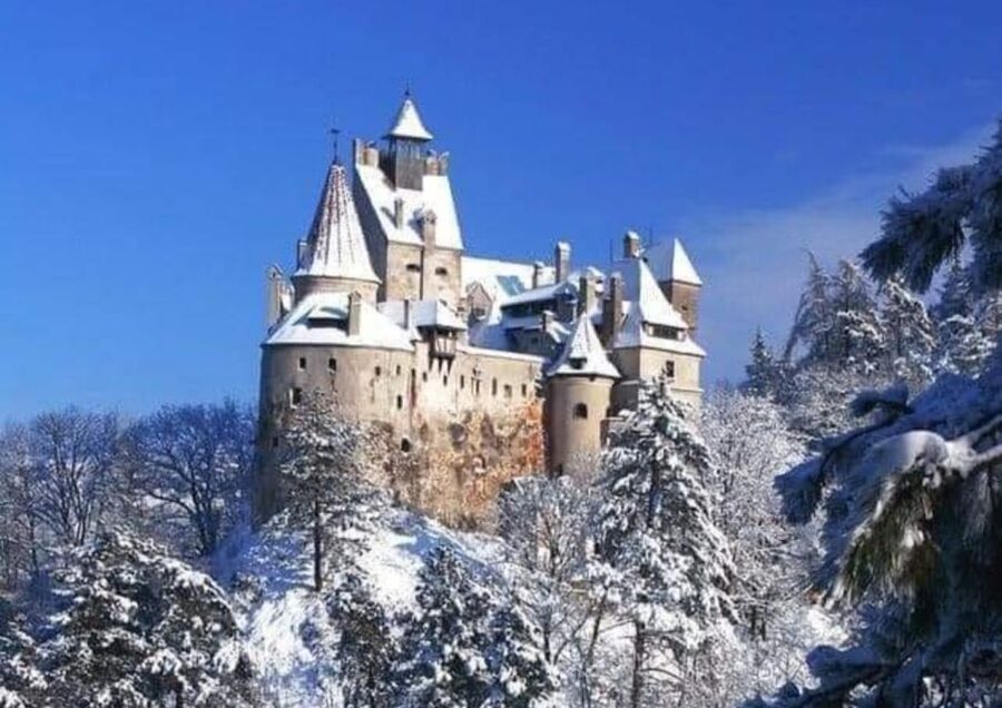 From Bucharest: 2-Day Tour to Brasov and Sighisoara - What the $370 price really buys