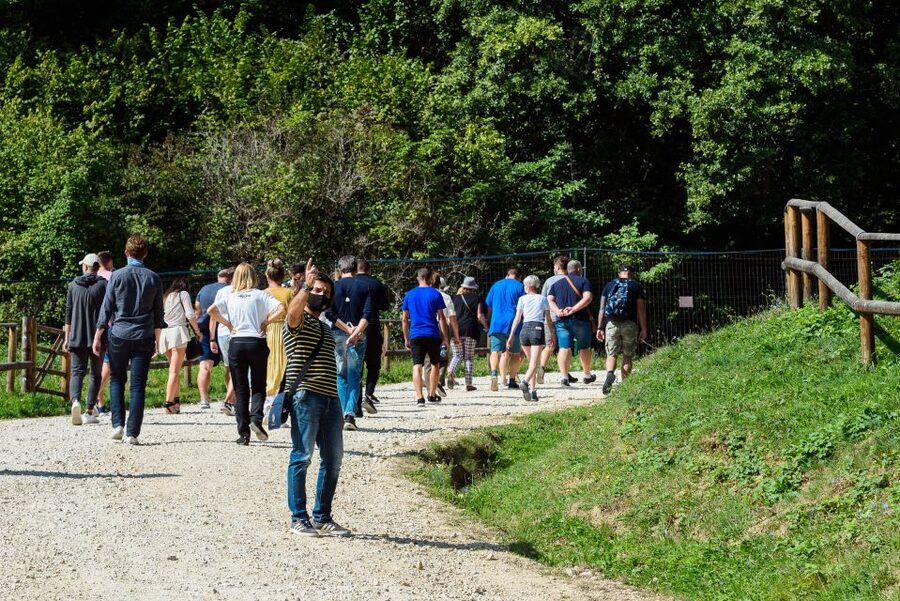 From Bucharest: Bear Sanctuary and Dracula Castle Day Tour - Seeing the bears at Libearty Sanctuary