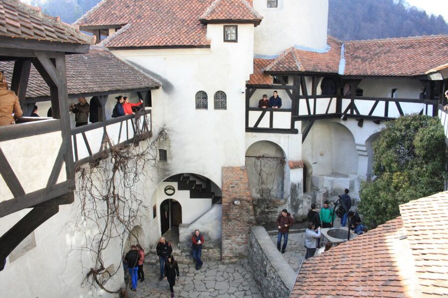 From Bucharest: Bear Sanctuary and Dracula Castle Day Tour - Practical details that affect your day