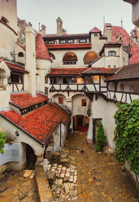 From Bucharest: Day Trip to Peles, Dracula's Castle, Brasov - Guide language and group considerations