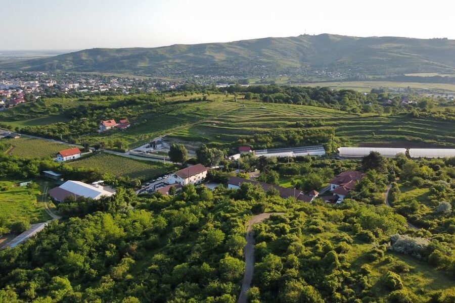 From Bucharest: Exclusive Dealu Mare Wine Tasting Tour - Why Dealu Mare makes a good Bucharest day trip