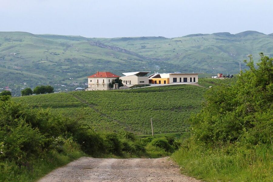 From Bucharest: Exclusive Dealu Mare Wine Tasting Tour - The 45-minute lunch break is useful, but not included