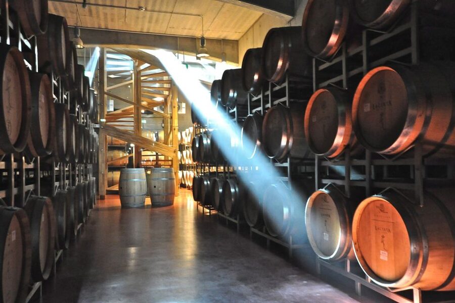 From Bucharest: Exclusive Dealu Mare Wine Tasting Tour - Is $260 per person good value?