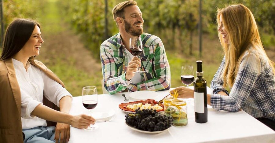 From Bucharest: Exclusive Dealu Mare Wine Tasting Tour - Who should book this day?