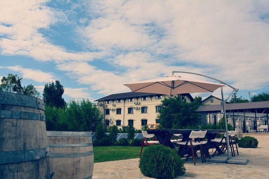 From Bucharest: Exclusive Dealu Mare Wine Tasting Tour - Should you book the Dealu Mare wine tour?