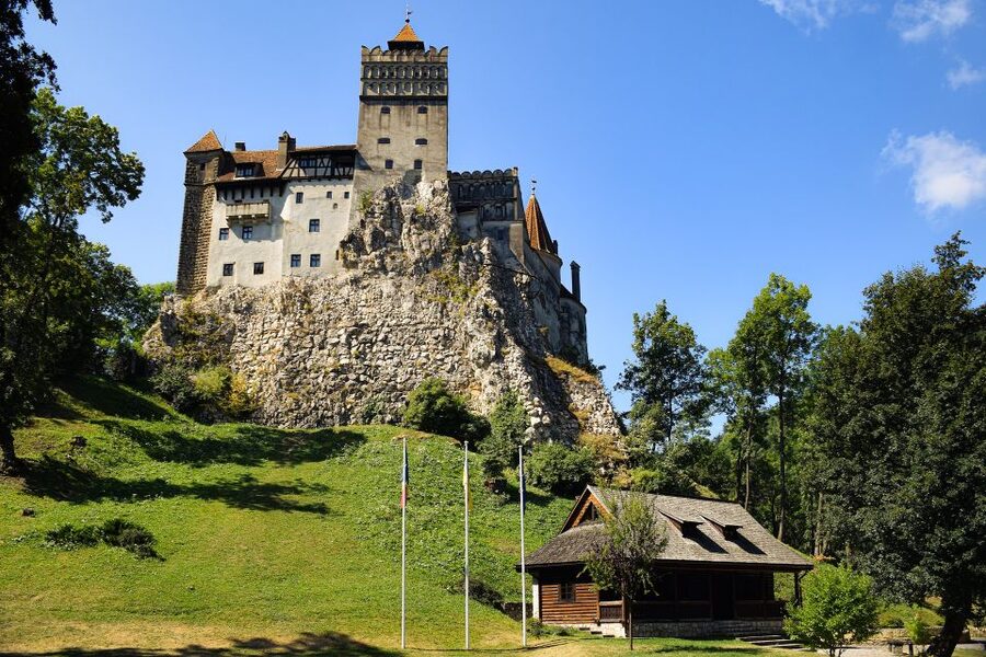 From Bucharest: Libearty Bear Sanctuary and Dracula's Castle - Key points to know before booking