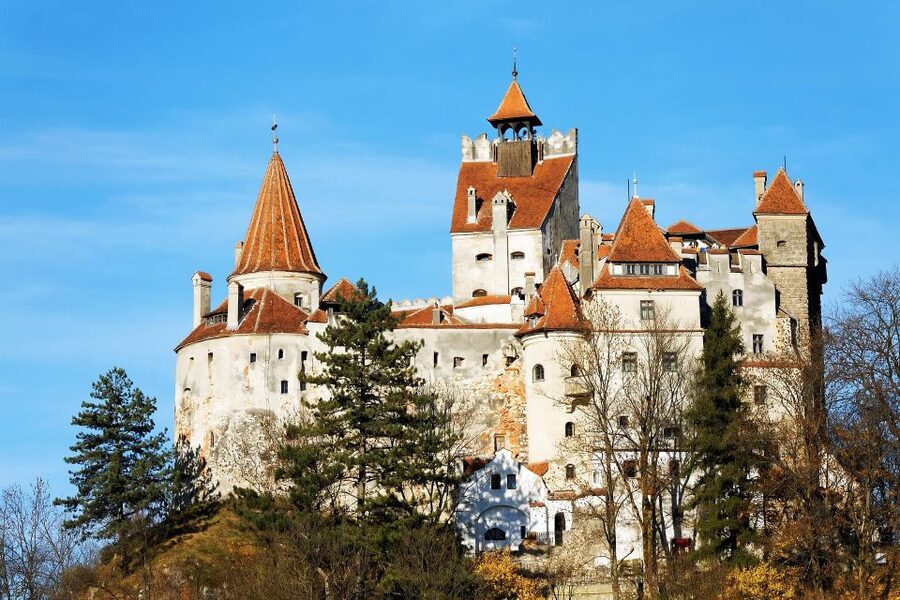From Bucharest: Libearty Bear Sanctuary and Dracula's Castle - The road from Bucharest into Transylvania