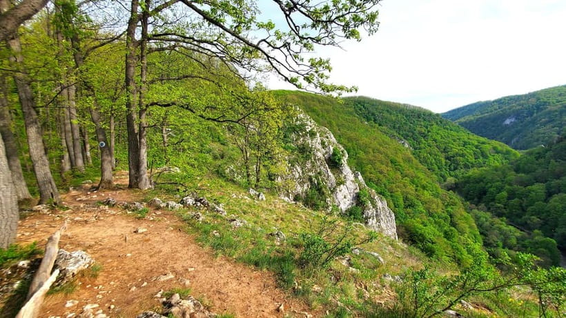 From Cluj: Gorges of Crisul Repede River - Why the Crisul Repede Gorges make a fine day trip