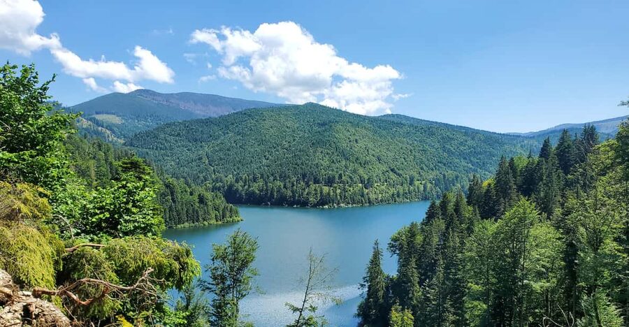 From Cluj: Mountain Bike around Lake Dragan - Why Lake Dragan works so well by bike